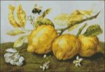 (image for) Garzoni - Three Lemons with a Bee
